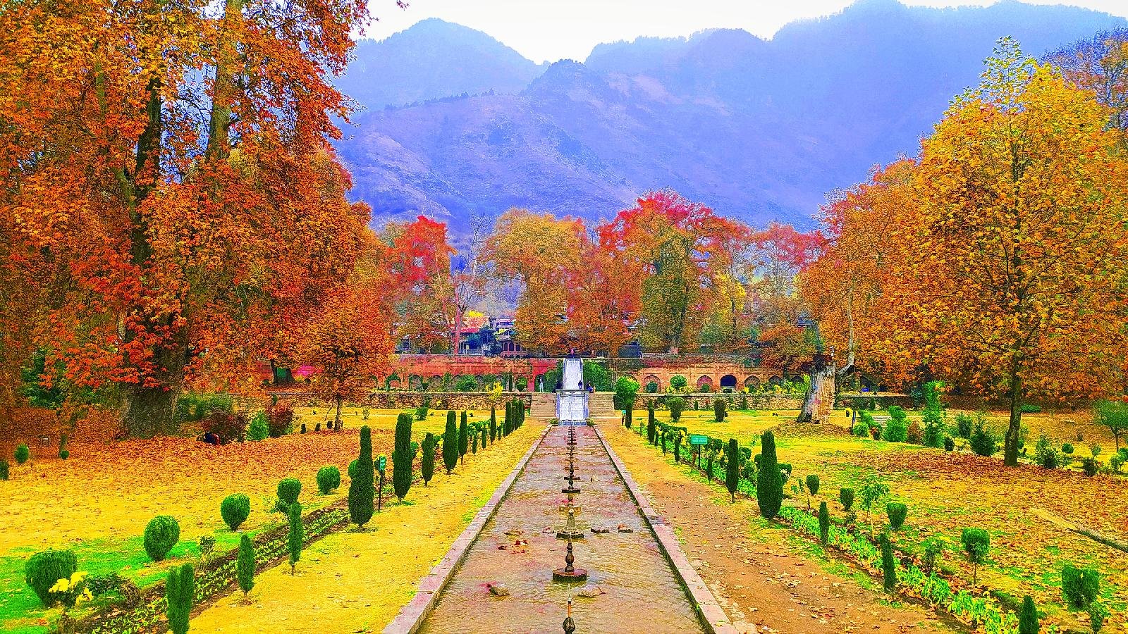 Nishat Garden Srinagar 